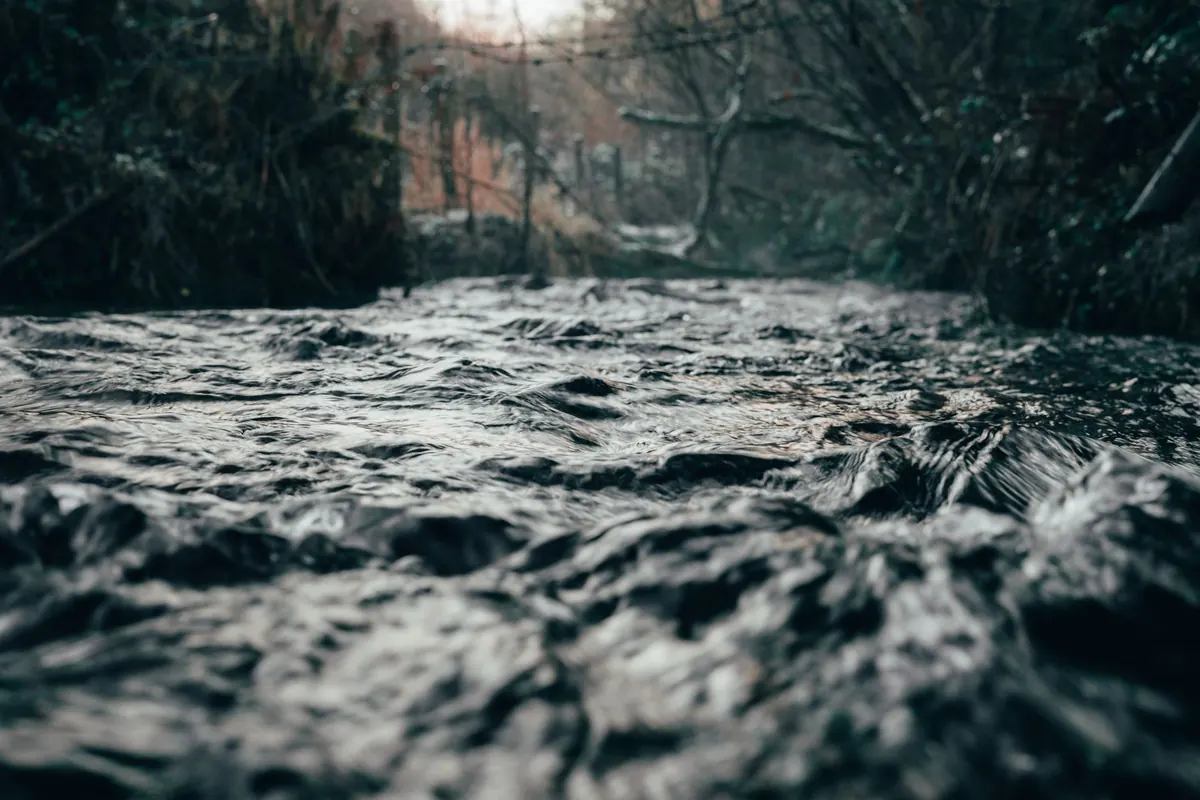 How to Read the River Avon's Current: A Beginner's Guide to Eddies, Shallows, and Weirs